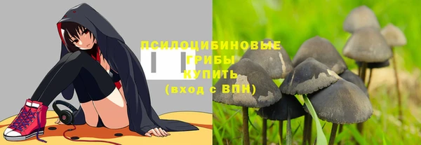 ешки Алзамай