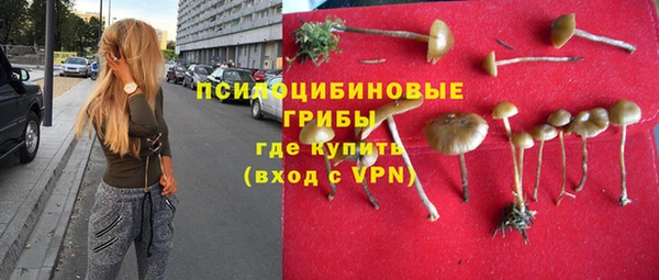 mix Абаза