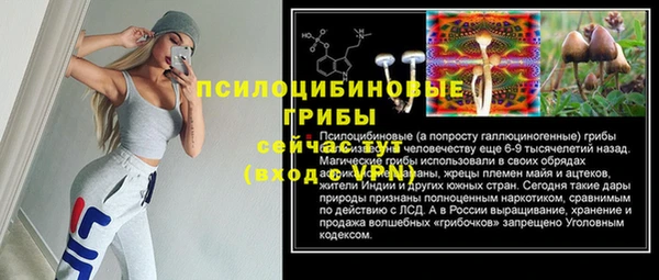 дурь Алексеевка