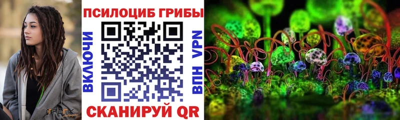Псилоцибиновые грибы Magic Shrooms  Староминская 